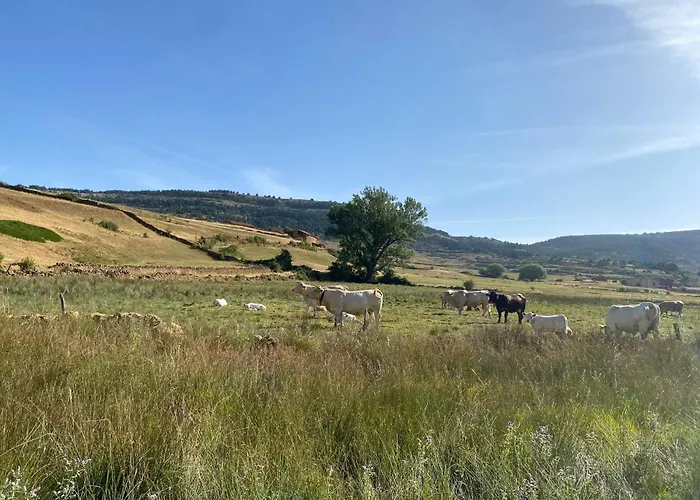 Casa Rural El Olmo